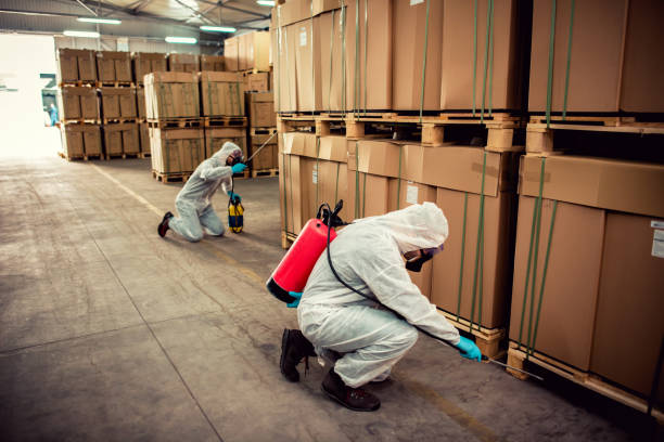 Best Cockroach Control Services  in Stephens City, VA