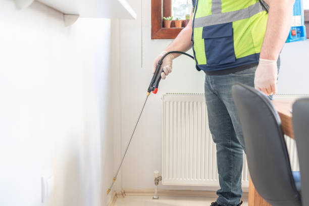 Best Mosquito Control Services  in Stephens City, VA