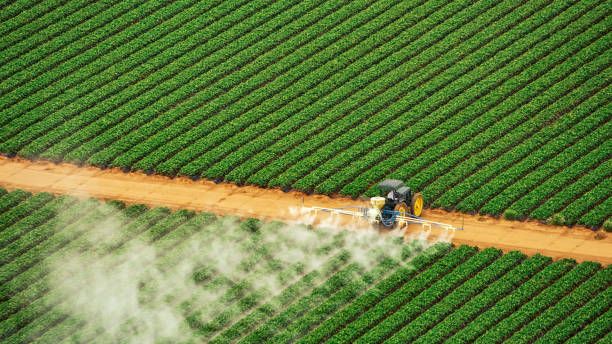 Best Pest Inspection Near Me  in Stephens City, VA