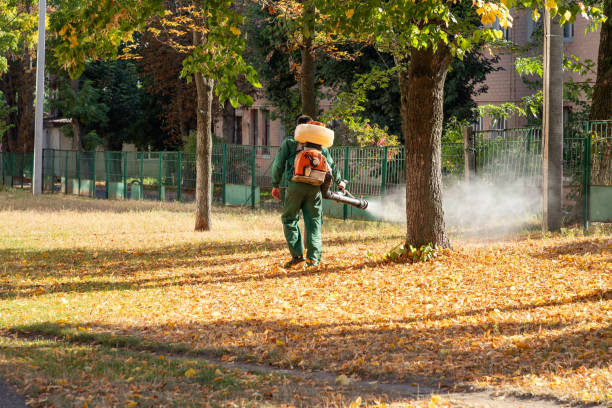 Wildlife Control Services in Stephens City, VA
