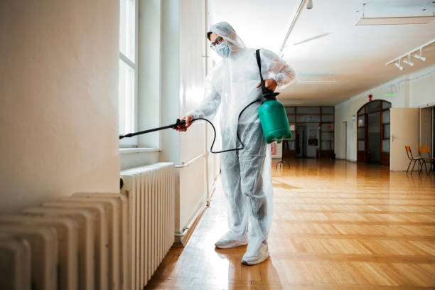 Best Wildlife Control Services  in Stephens City, VA